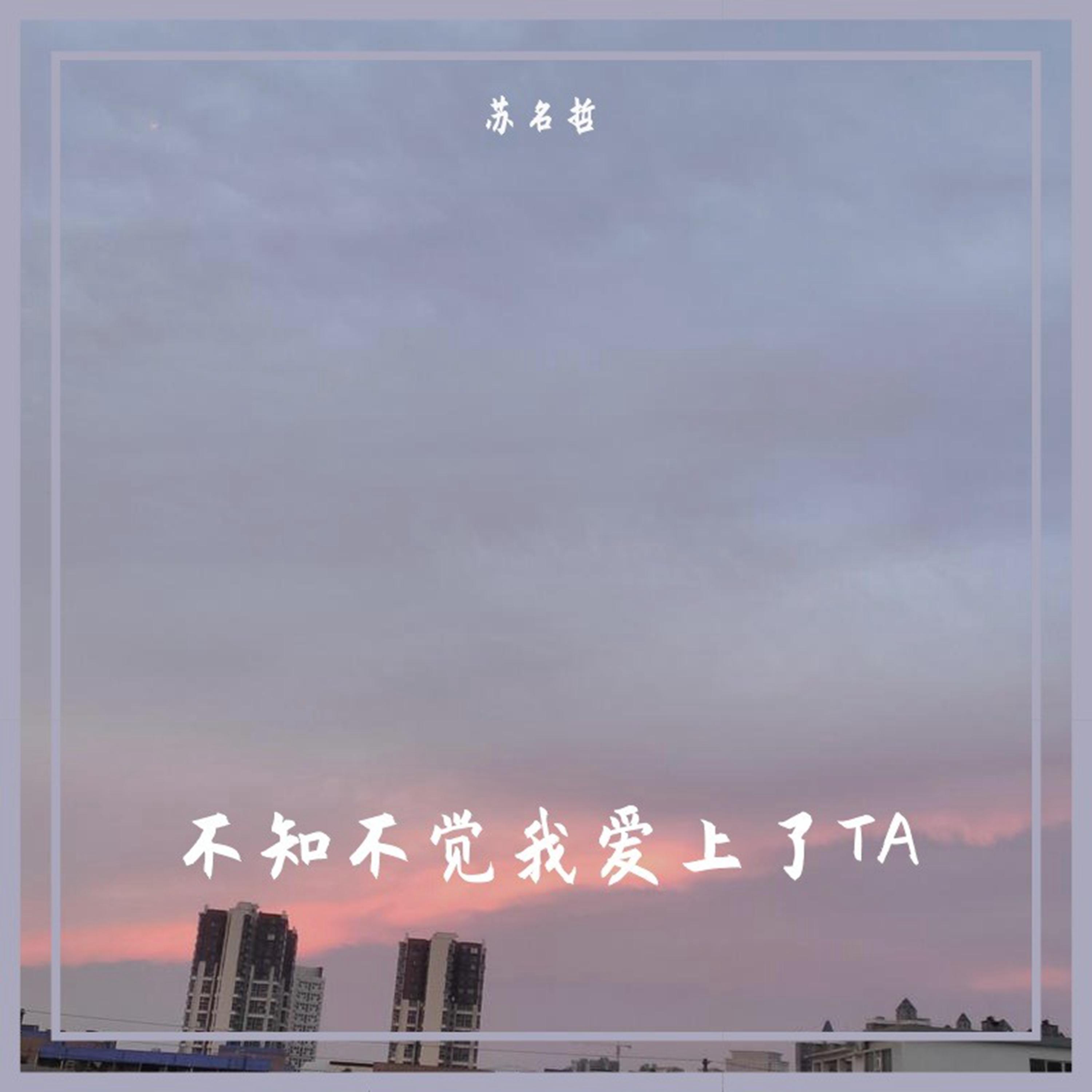 苏名哲 - 2022毕业典礼进行时 (DJ Prog House)