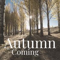 Autumn is Coming