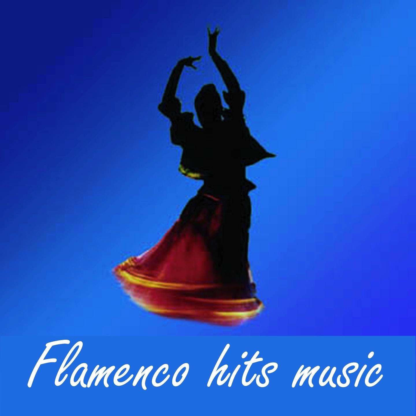 Flamenco hits music