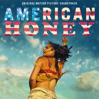 American honey