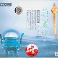 洪湖水浪打浪葫芦丝伴奏F