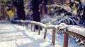 Winter walk专辑