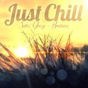 Just Chill - Satie, Grieg & Brahms专辑