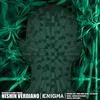 Nishin Verdiano - Enigma (Digital Zion Remix)