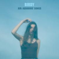 Birdy - Shadow (Official Instrumental) 原版无和声伴奏