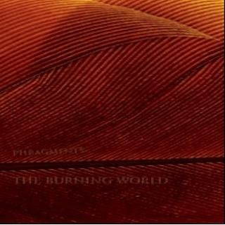 The Burning World