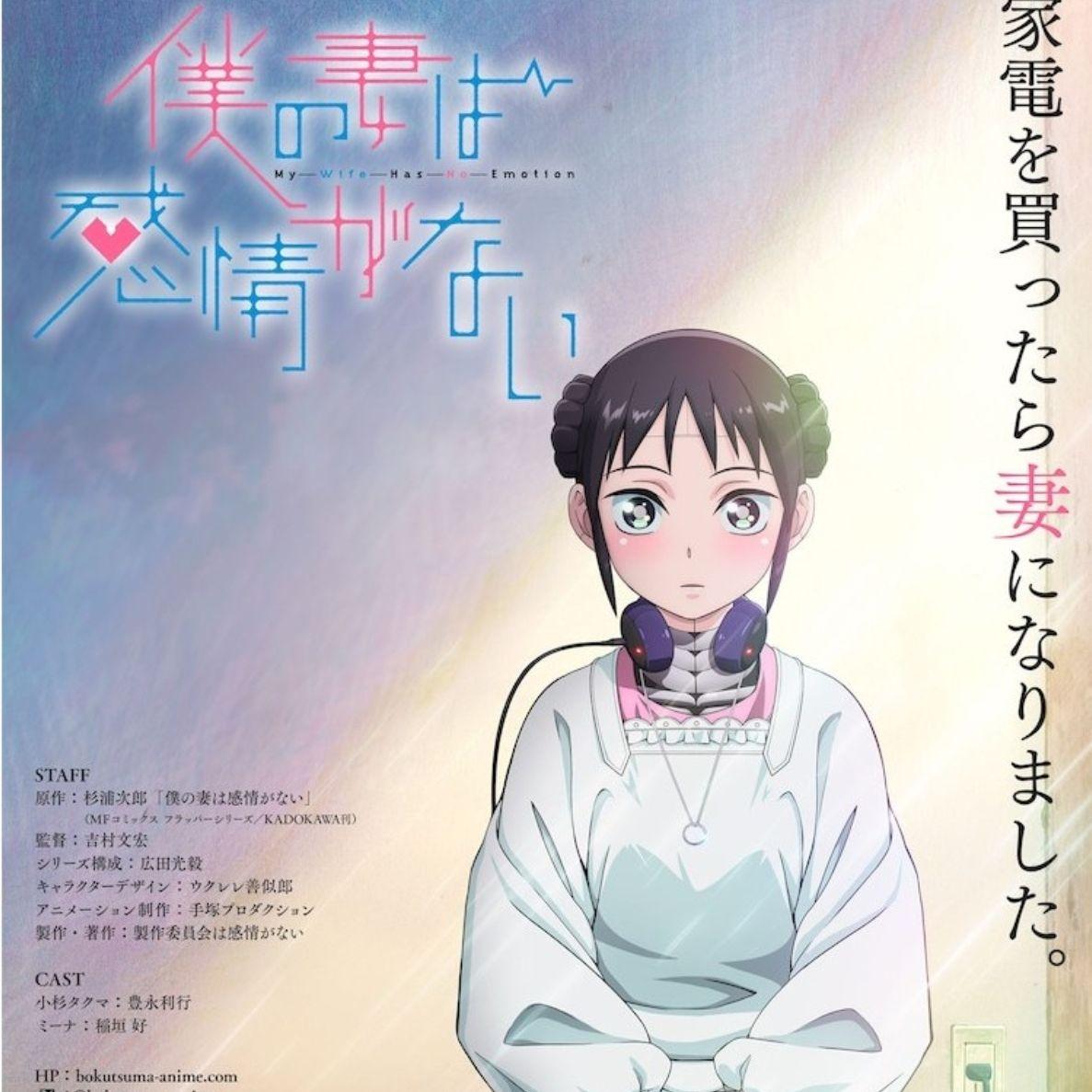 仆の妻は感情がない