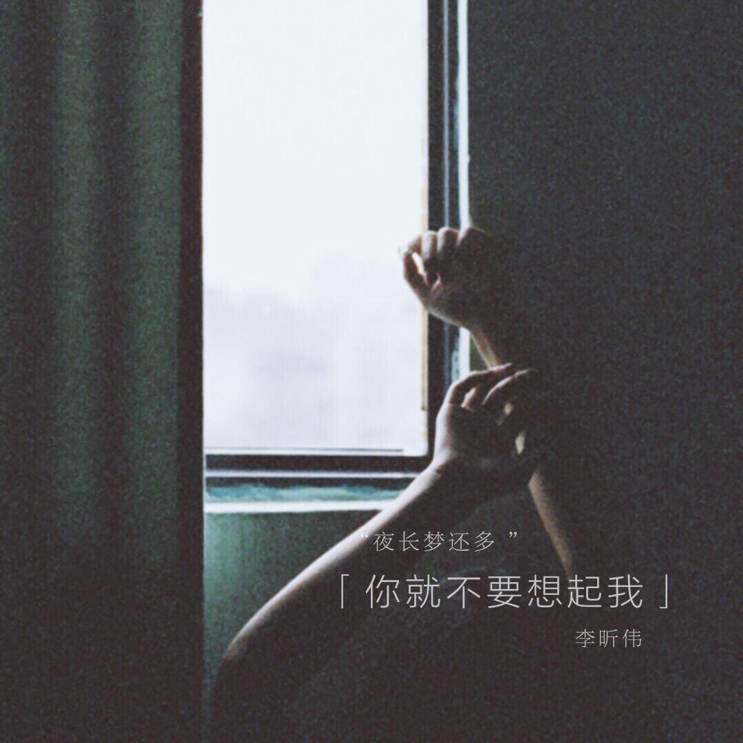 你就不要想起我专辑