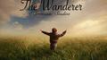 The Wanderer专辑