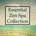 Essential Zen Spa Collection - Relaxing Rain, Water & Ocean Sounds to Help You Sleep, Unwind, De-Str专辑