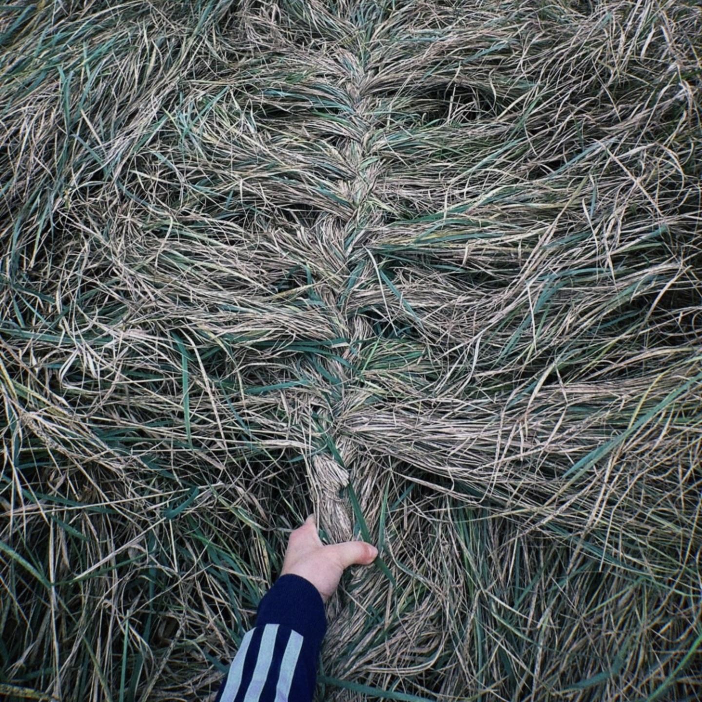 Kosa (Liquid Drum & Bass Remix)