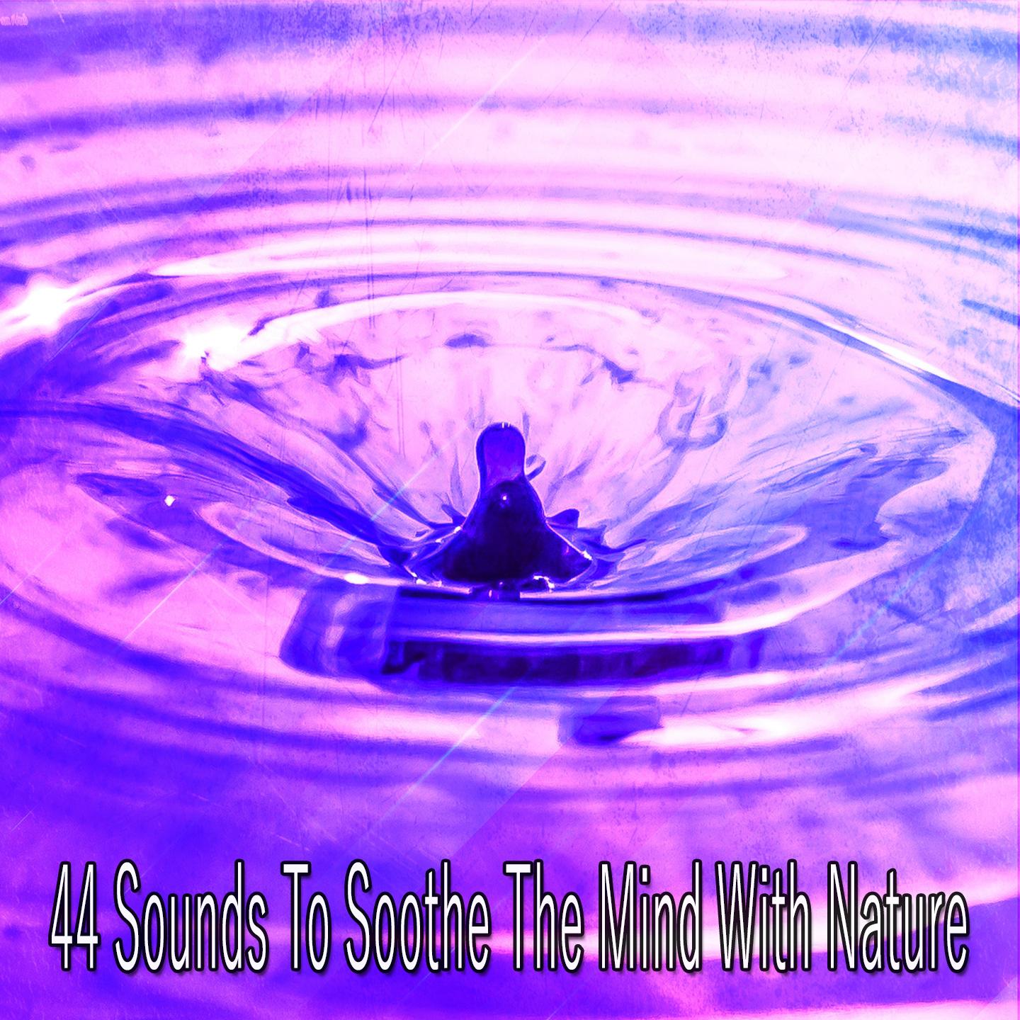 44 Sounds To Soothe The Mind With Nature专辑