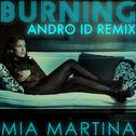 Burning (Andro ID Remix)专辑