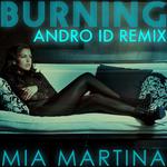 Burning (Andro ID Remix)专辑