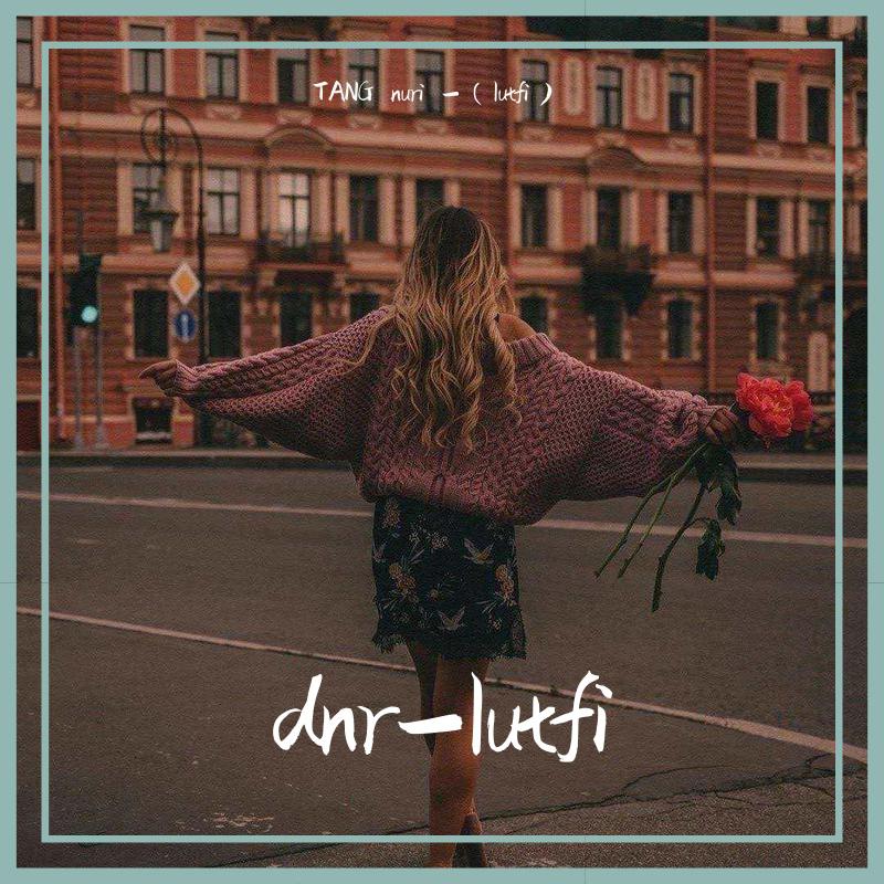 dnr-lutfi