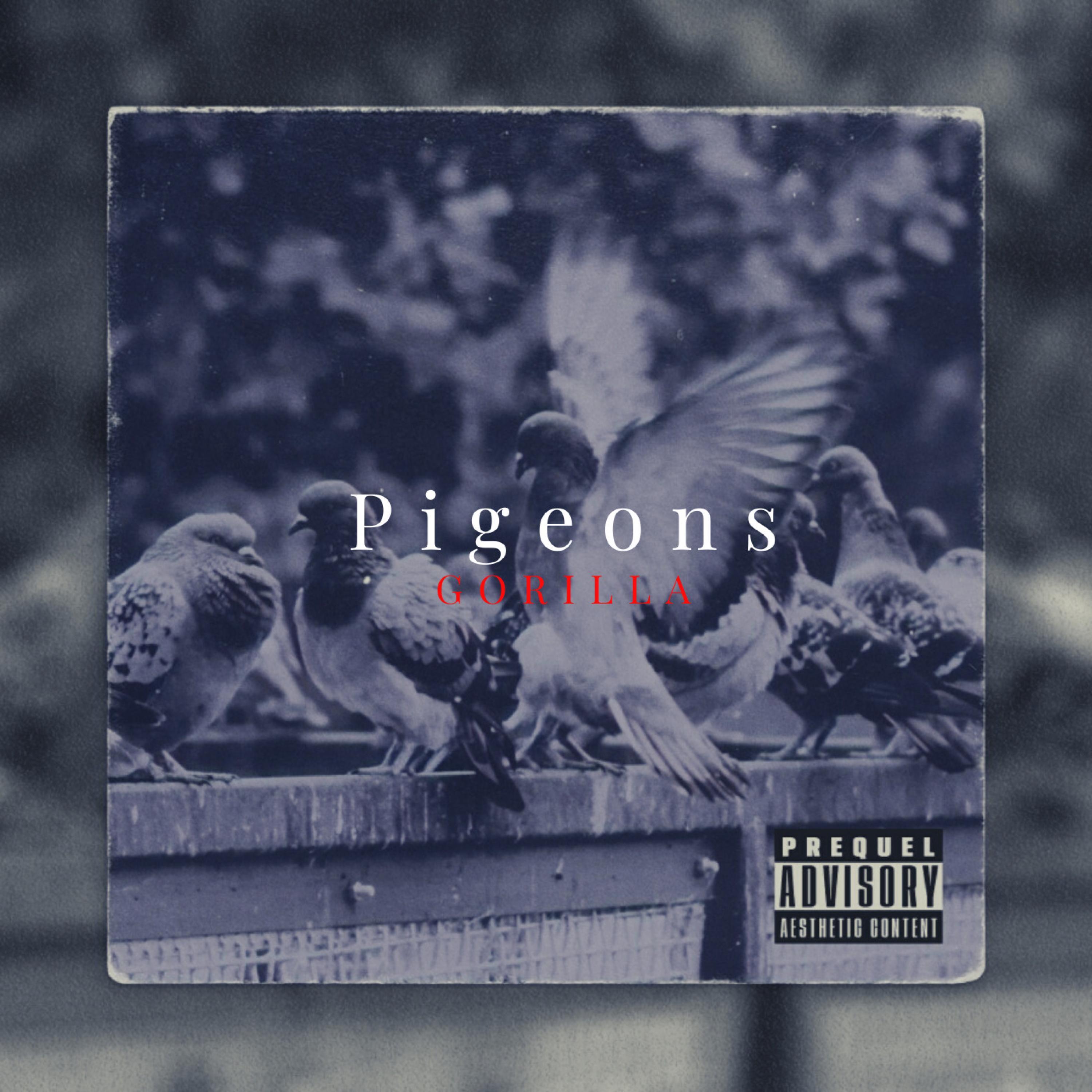 Pigeons
