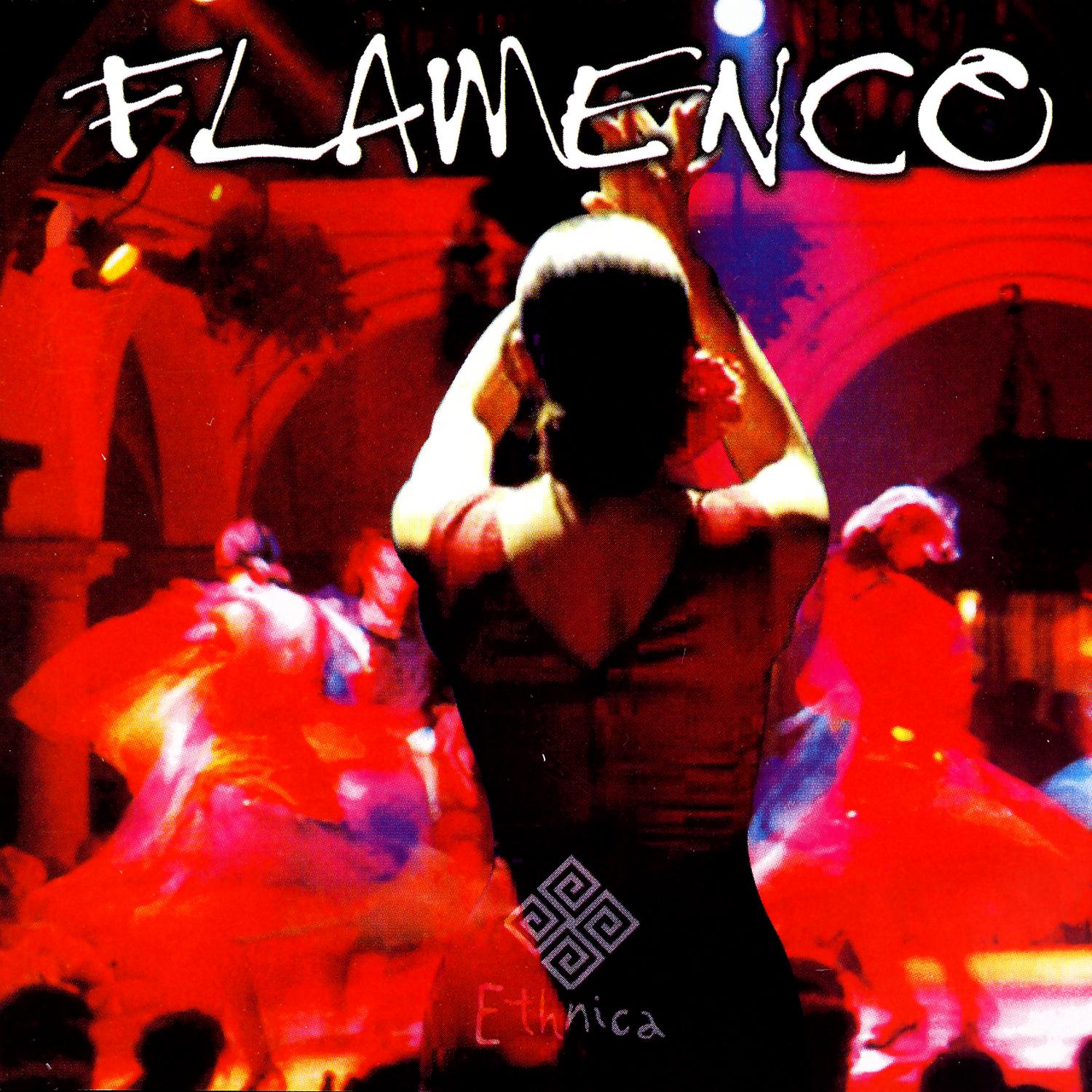 FLAMENCO GUITAR