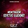 MC ALMEIDA ZS - Montagem Sepetus Ocrenimix