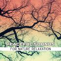 Peaceful Sounds for Nature Relaxation专辑