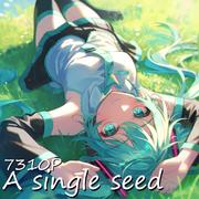 A single seed