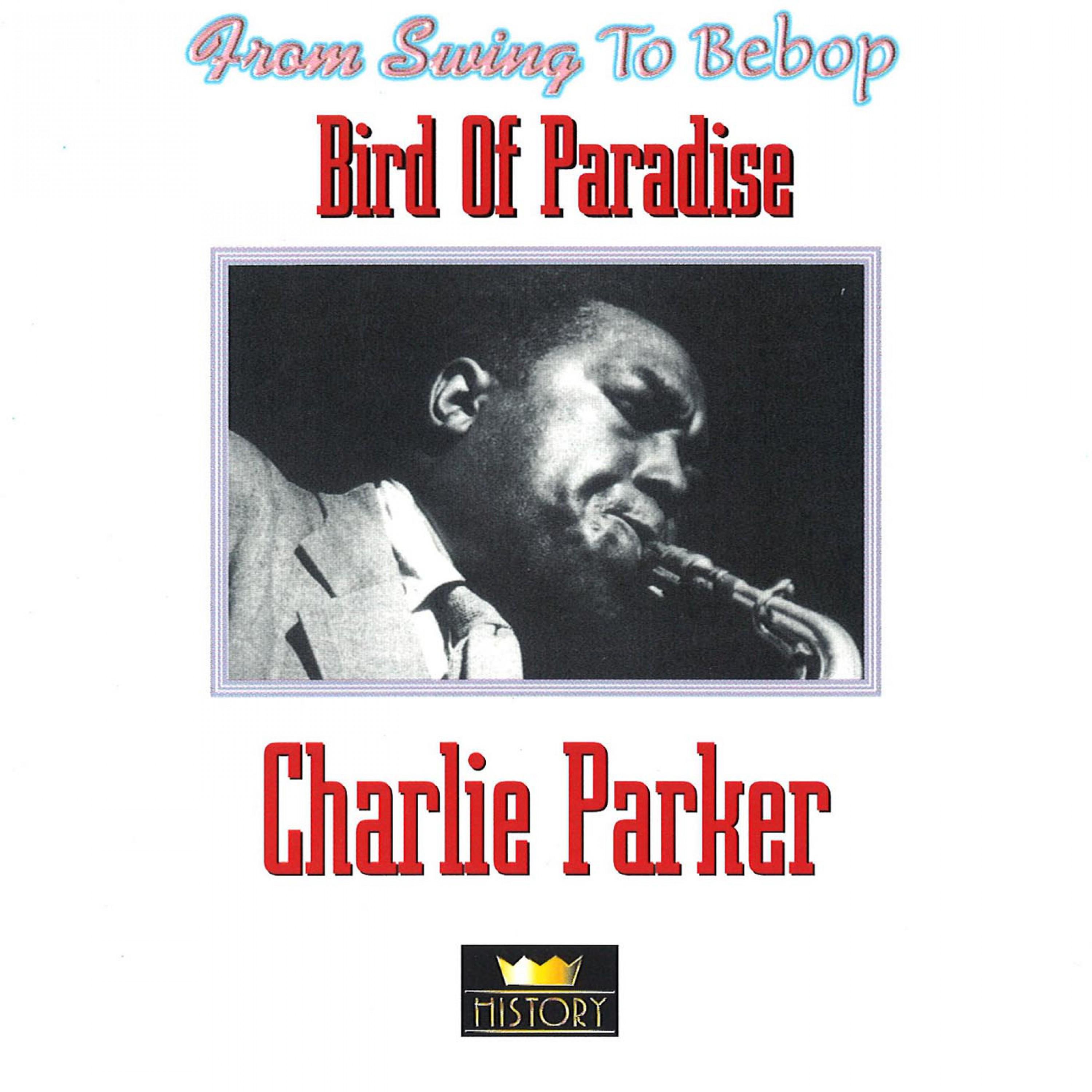 Bird of Paradise