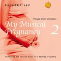 My Musical Pregnancy 2专辑