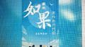 青春的旋律专辑