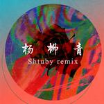 杨柳青 (Shtuby remix)专辑