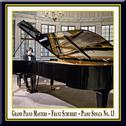 Franz Schubert: Piano Sonato No. 13专辑