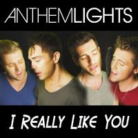 Anthem Lights - A Friend Like You (消音版) 带和声伴奏