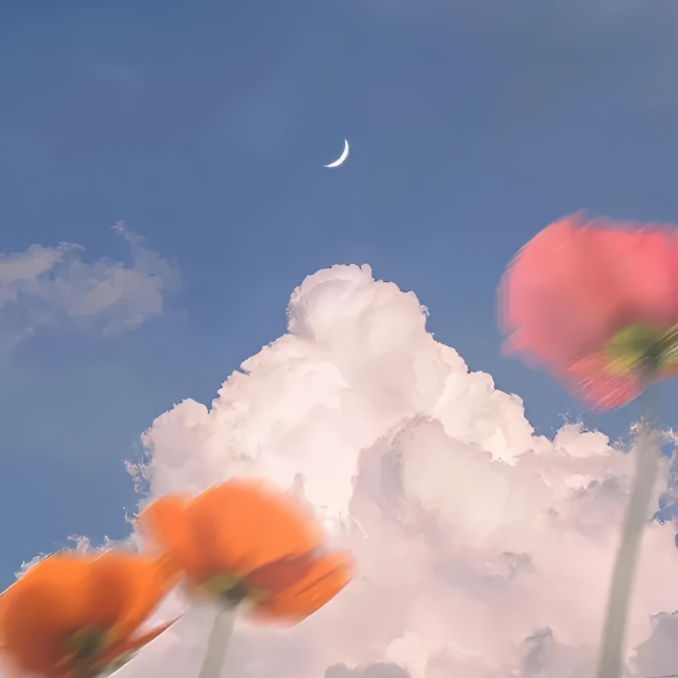 给电影人的情书