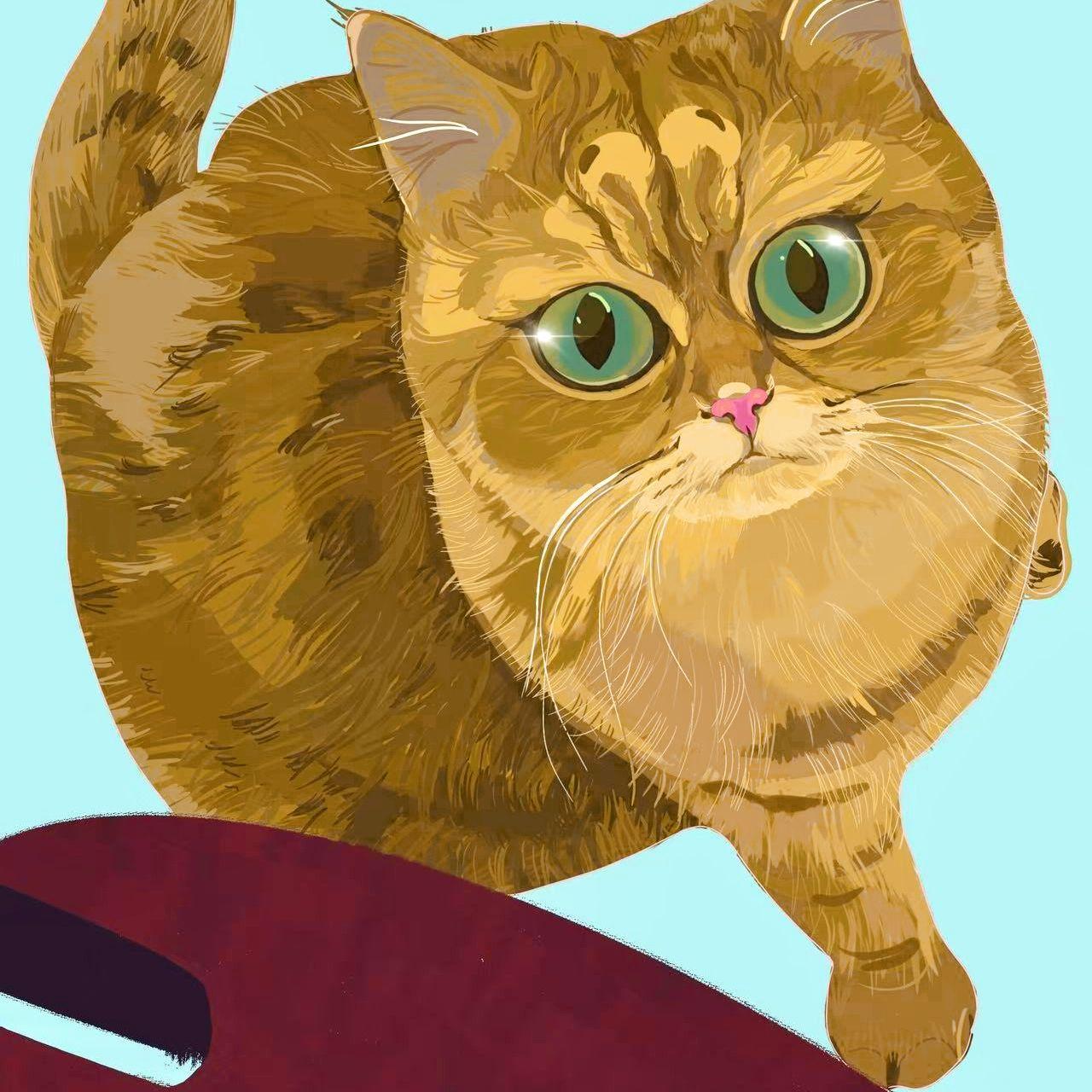 Ginger feat.毛豆&睡饱