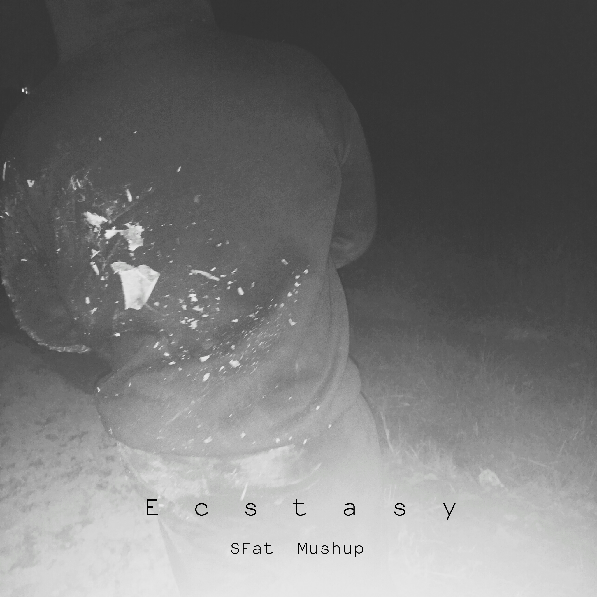 Ecstasy(SFat Mushup)专辑