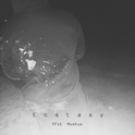 Ecstasy(SFat Mushup)专辑