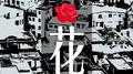城中村一支花专辑