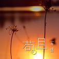 苟且