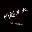 问题不大（No Problem）专辑