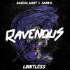 Sascha Audit - Limitless