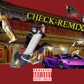 Check（remix）