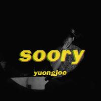 soory （fx）