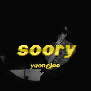 soory 【fx】 （升8半音）