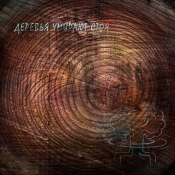 Сияние Заснеженной Пустыни