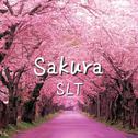 Sakura专辑