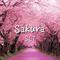 Sakura专辑