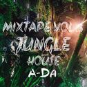 A-DA MIXTAPE VOL.3 JUNGLE TRIBAL STYLE专辑