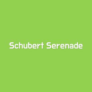 Schubert Ständchen 舒伯特小夜曲 钢琴伴奏 正谱音频