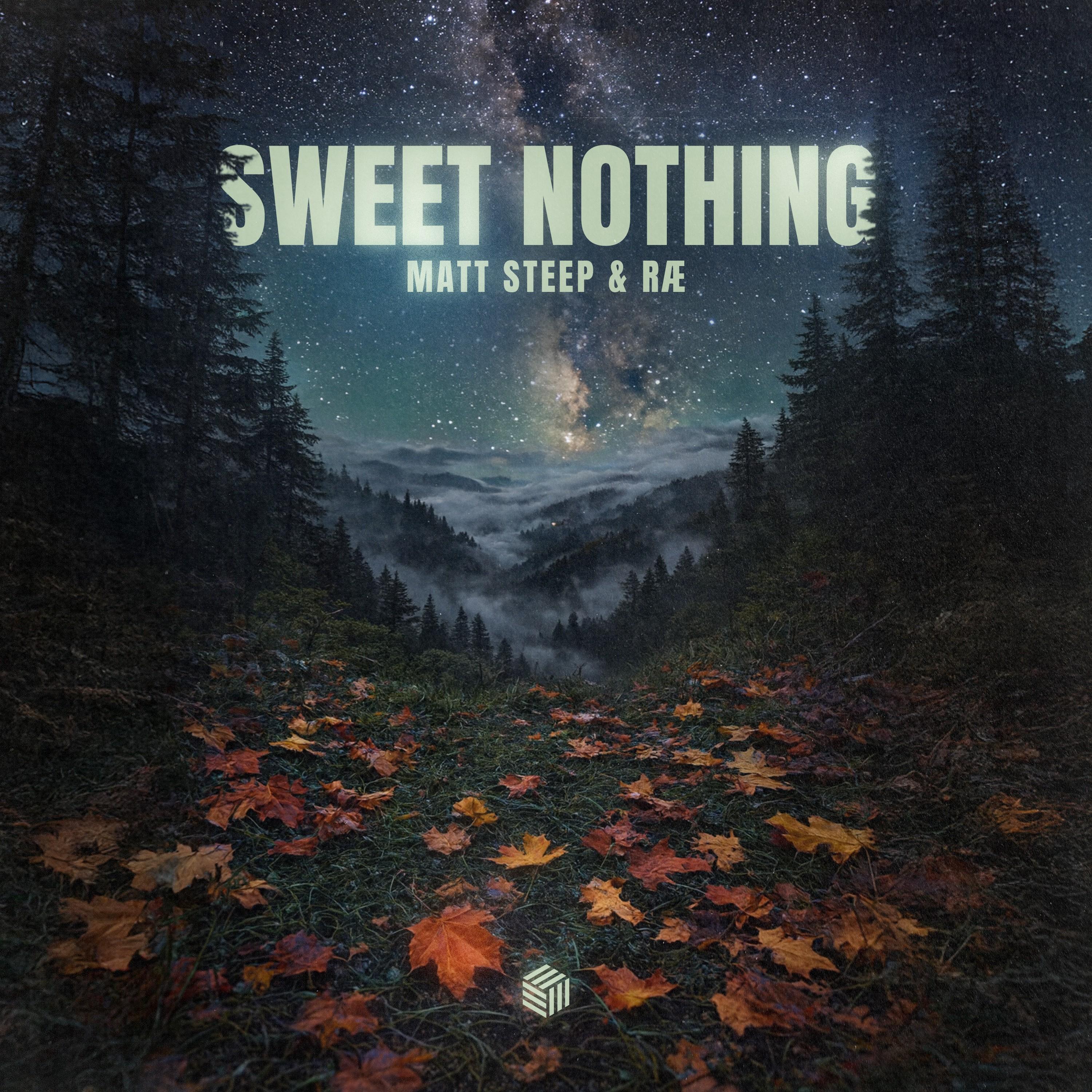 Sweet Nothing (Extended Mix)