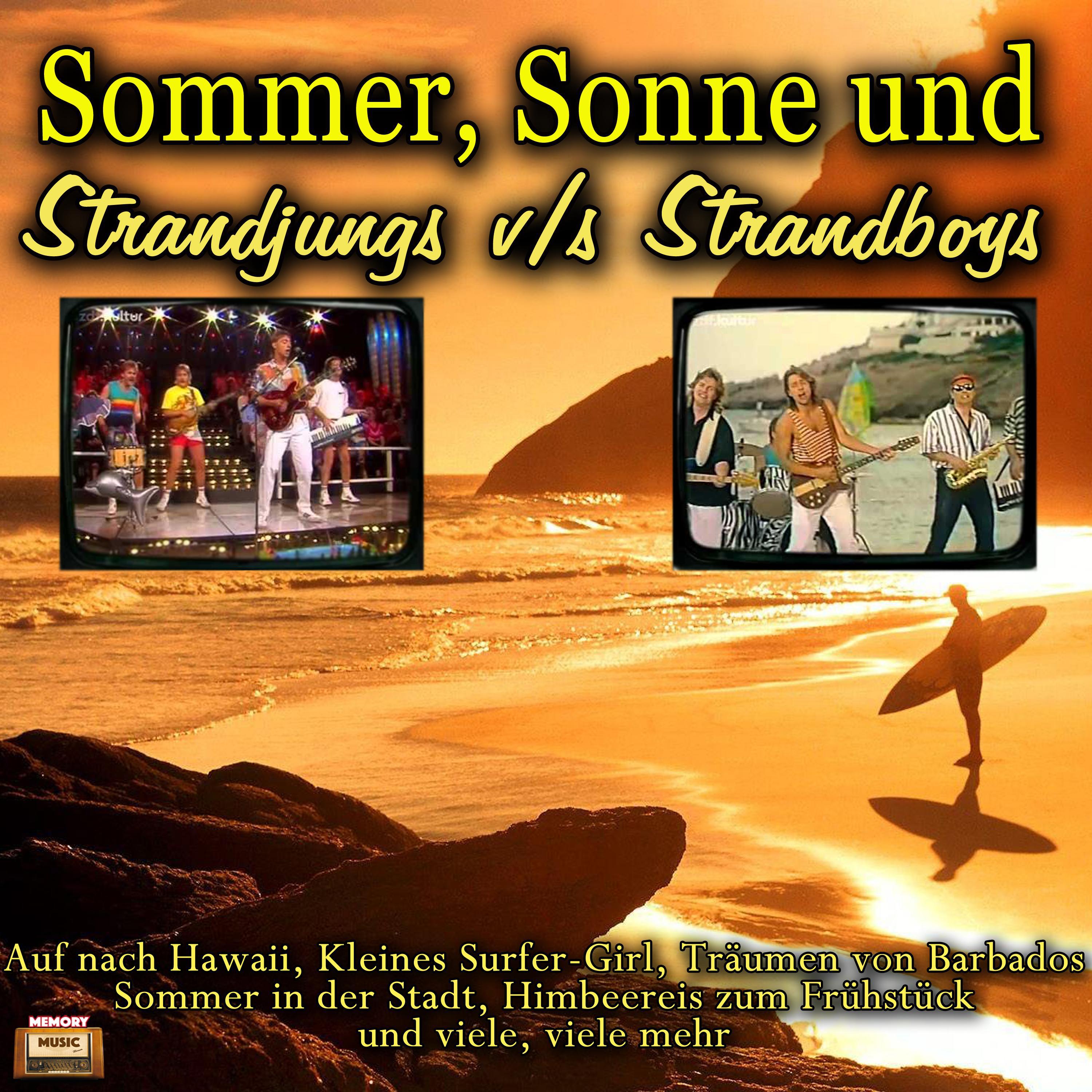 Strandjungs - Auf nach Hawaii