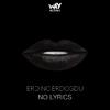 Erdinc Erdogdu - No Lyrics (Original Mix)