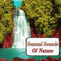 Sensual Sounds Of Nature